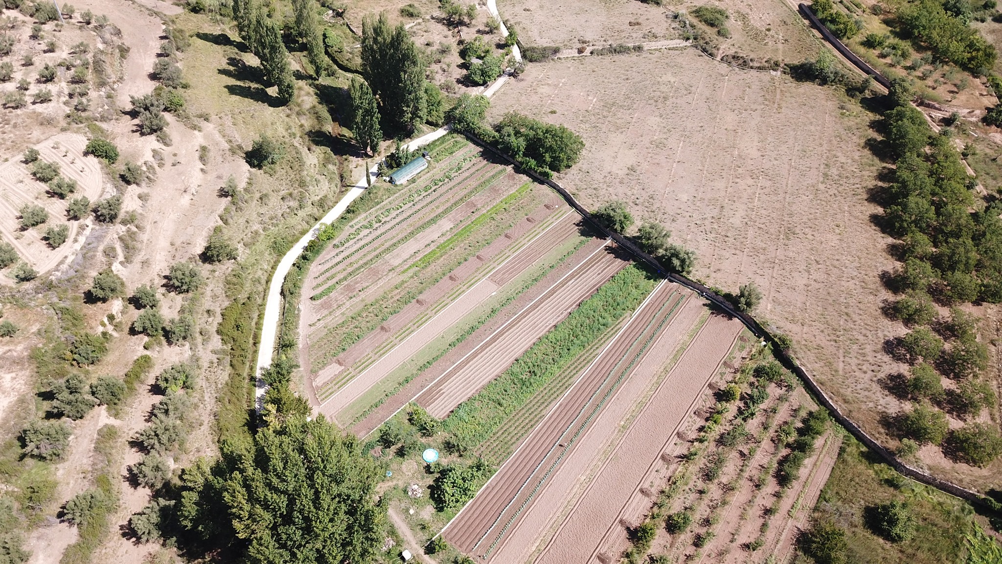 Huerta ecológica de La Biofranqueza en Caudiel